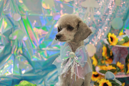 Photo from customer review